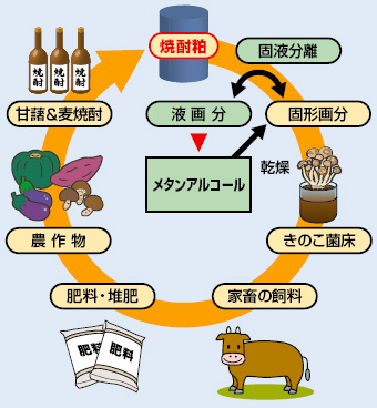 焼酎粕の資源循環システム
