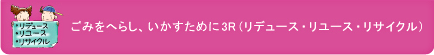 ごみをへらし、いかすために3R