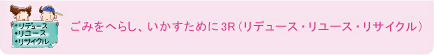 ごみをへらし、いかすために3R