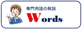 専門用語の解説 Words